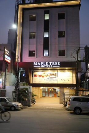 Гостиница Maple Tree Hotel  Chennai
